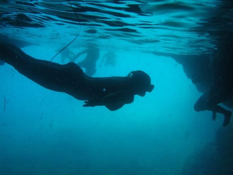 Dubrovnik: Blue Cave & Sunj Beach Boat Tour with Drinks - A Detailed Breakdown of the Itinerary