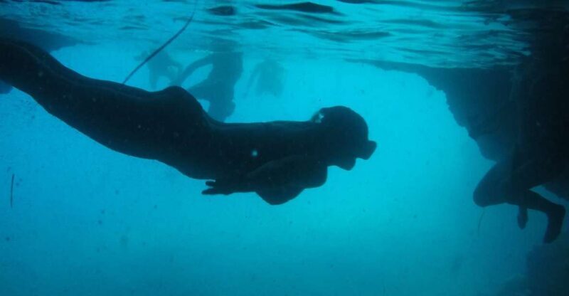 Dubrovnik: Blue Cave & Sunj Beach Boat Tour with Drinks - The Guide and Crew: Making It Special