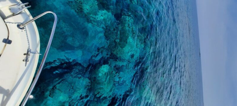 Dubrovnik: Blue Cave Tour by Speedboat - A Speedboat Adventure with a Splash of Nature