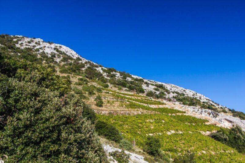 Dubrovnik: Day Trip to 3 Peljesac Wineries with Tastings - Final Thoughts