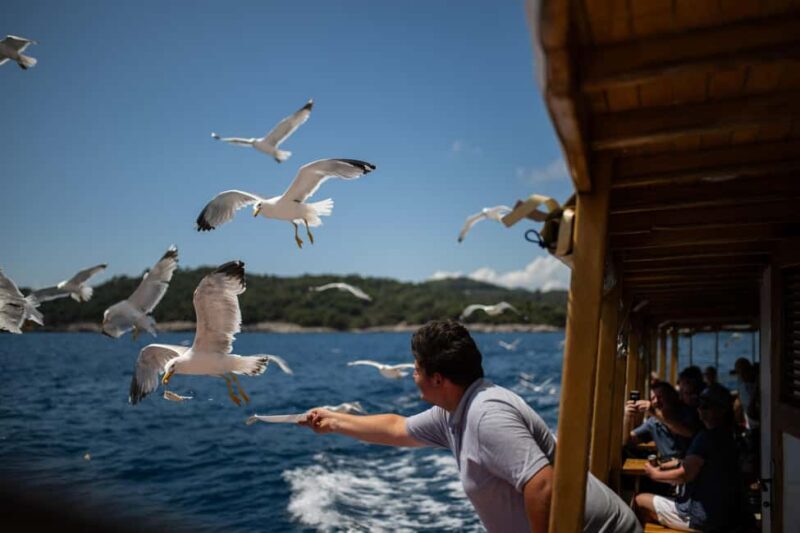Dubrovnik: Elaphite Islands Cruise with Lunch & Drinks - Key Points