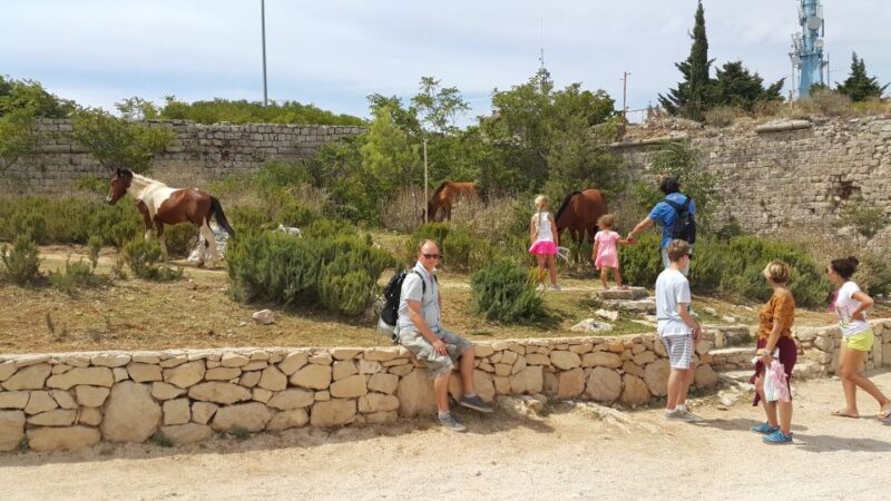 Dubrovnik: Game of Thrones Locations Driving Tour - What to Expect: A Well-Curated, Scenic Ride Through Game of Thrones Land