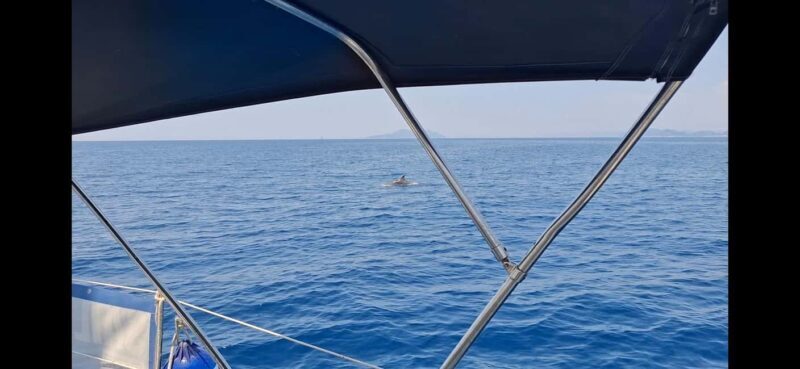Dubrovnik- Half day private boat tour to Elaphiti &Blue cave - Who Should Consider This Tour?