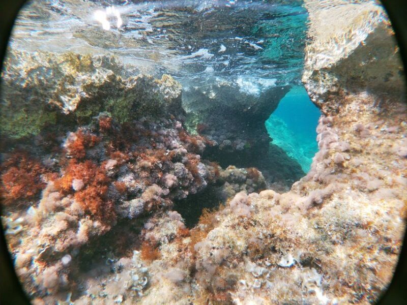 Dubrovnik: Half-Day Private Boat Trip to Elafiti Islands - Who Should Consider This Tour?