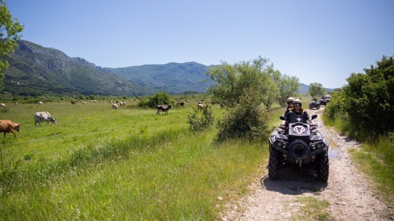 Dubrovnik: Kojan Koral ATV Quad Safari - Is This Tour Right for You?
