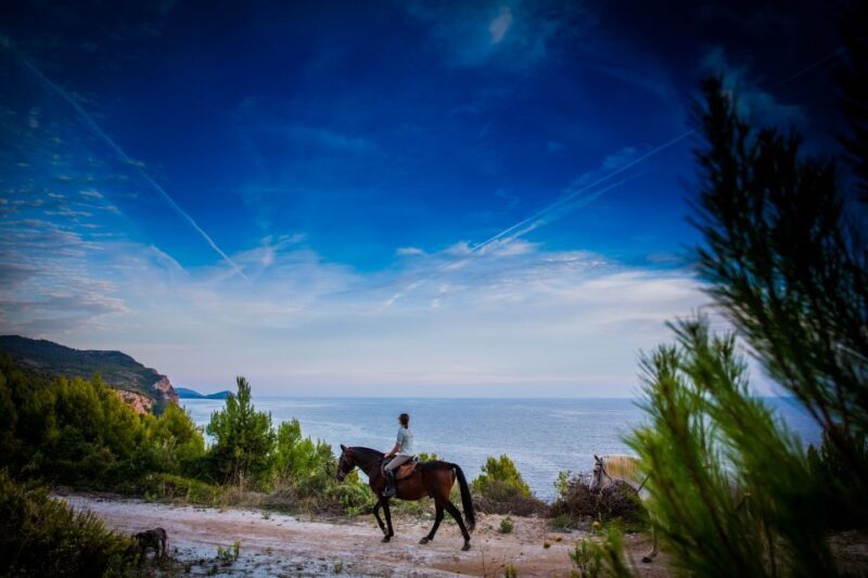 Dubrovnik Kojan Koral: Horseback Riding - Exploring Konavle by Horseback: What You Can Expect
