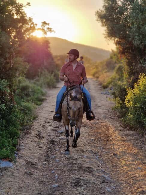 Dubrovnik Kojan Koral: Horseback Riding - Who Should Consider This Tour?