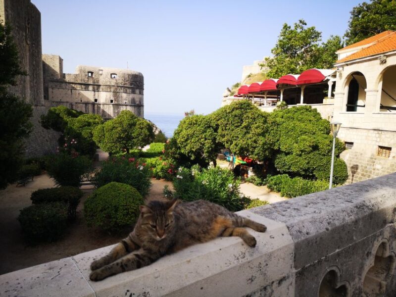 Dubrovnik Old City Private Tour - The Experience and Its Value