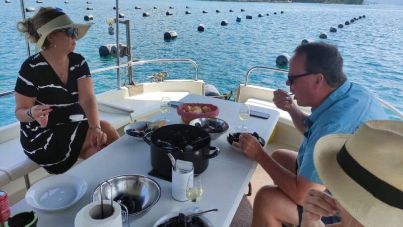 Dubrovnik: Oyster, Mussles, and Wine Tasting Tour in Ston - Analyzing the Value