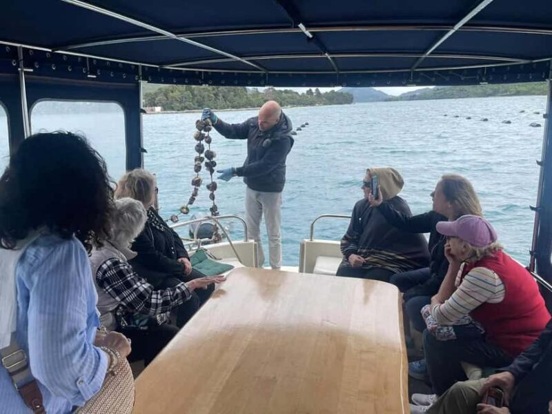 Dubrovnik: Oyster, Mussles, and Wine Tasting Tour in Ston - Who Is This Tour Best For?