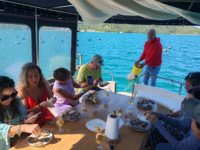 Dubrovnik: Oyster, Mussles, and Wine Tasting Tour in Ston - The Sum Up