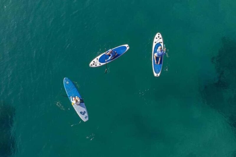 Dubrovnik: Paddleboarding & Snorkeling around Lokrum island - Key Points