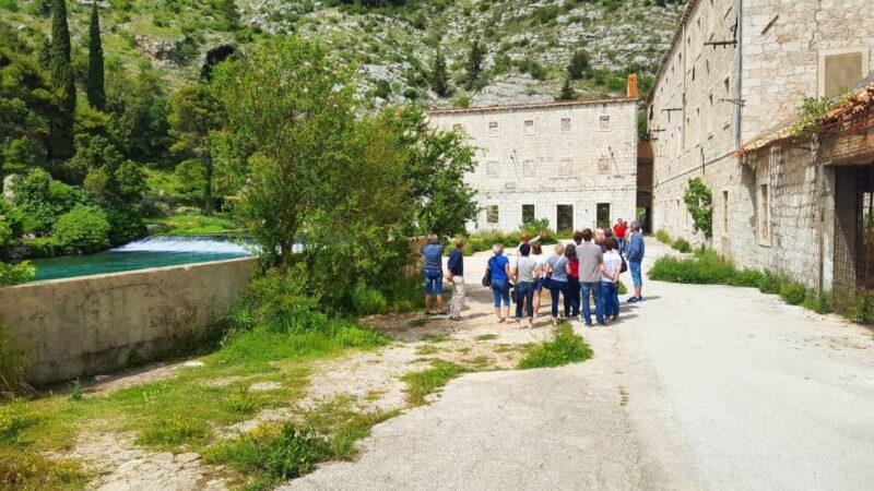 Dubrovnik: Panoramic Ride and Old Town Guided Walking Tour - Who Will Love This Tour?
