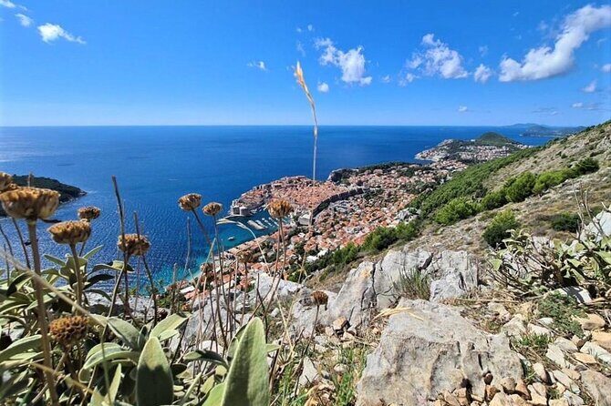 Dubrovnik Panoramic Sightseeing Tour with Guide (minivan) - Who Will Love This Tour?
