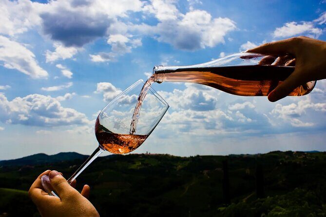 Dubrovnik Private Panorama and Wine Tasting Tour with Car - Key Points