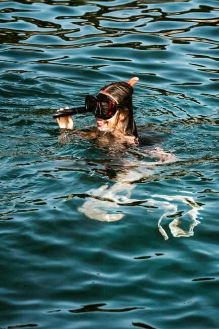 Dubrovnik: Private Swim, Snorkel, & Cave Boat Tour w/ Drinks - The Itinerary: A Closer Look