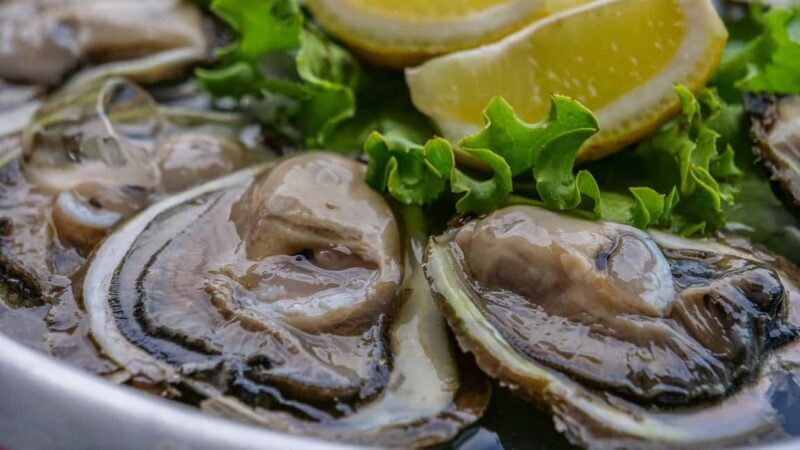 Dubrovnik: Private Tour with Oyster Tasting - What’s in Store: A Detailed Breakdown of the Tour