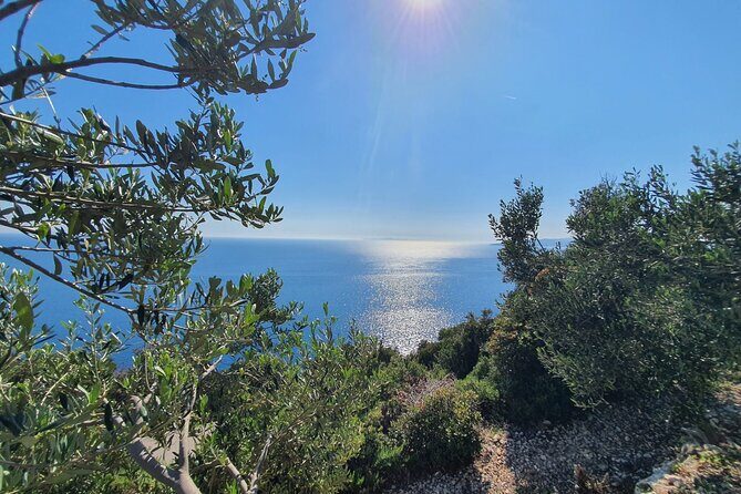 Dubrovnik Private Wine Tasting Tour To Peljesac - The Itinerary: What You Can Expect