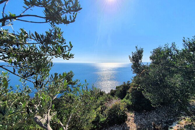 Dubrovnik Private Wine Tasting Tour To Peljesac - Who Will Love This Tour?