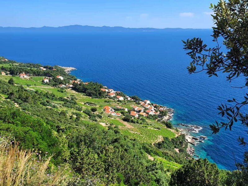 Dubrovnik Private Wine Tasting Tour To Peljesac - Key Points