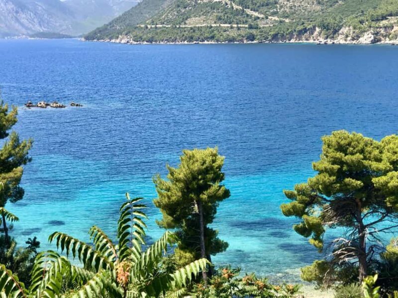 Dubrovnik Private Wine Tasting Tour To Peljesac - Final Thoughts