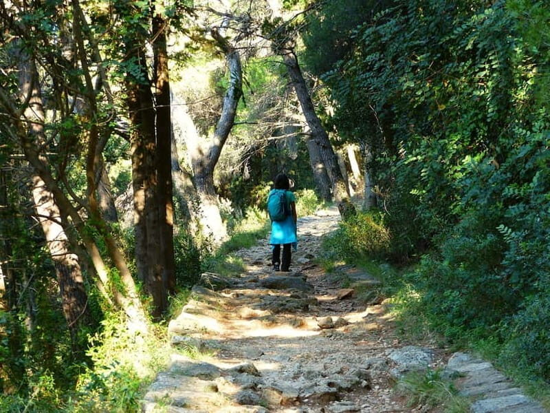 Dubrovnik: Rise and Shine Hike - An In-Depth Look at the Dubrovnik Rise and Shine Hike
