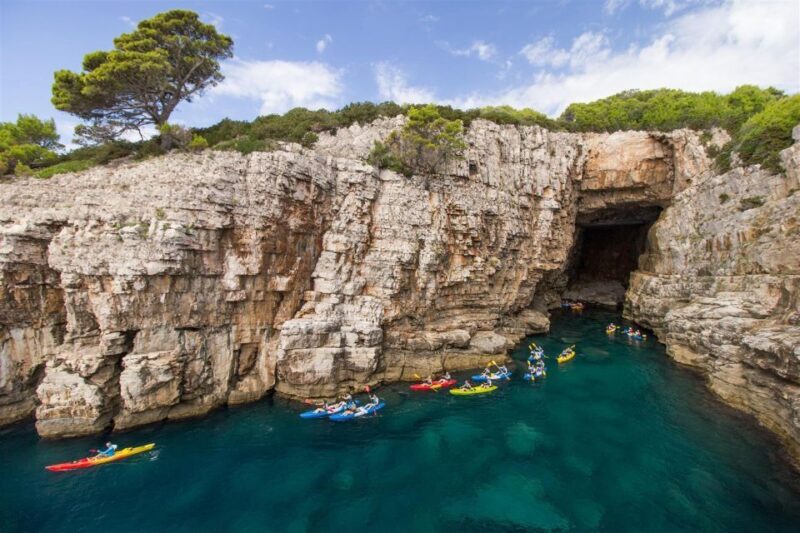 Dubrovnik: Sea Kayaking Half-Day Tour - What to Expect from the Dubrovnik Sea Kayaking Experience