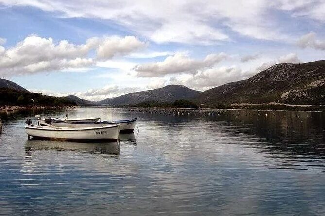 Dubrovnik: Taste of Local Cuisine - An In-Depth Look at the Dubrovnik Culinary Tour