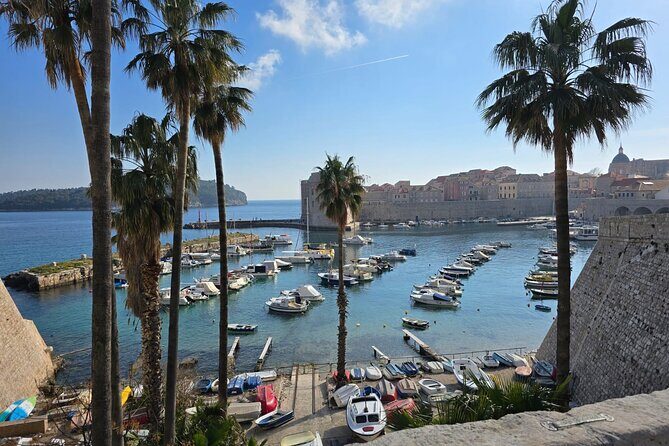 Dubrovnik Walking Tour with a FREE Polaroid Photo - A Closer Look at the Tour Itinerary