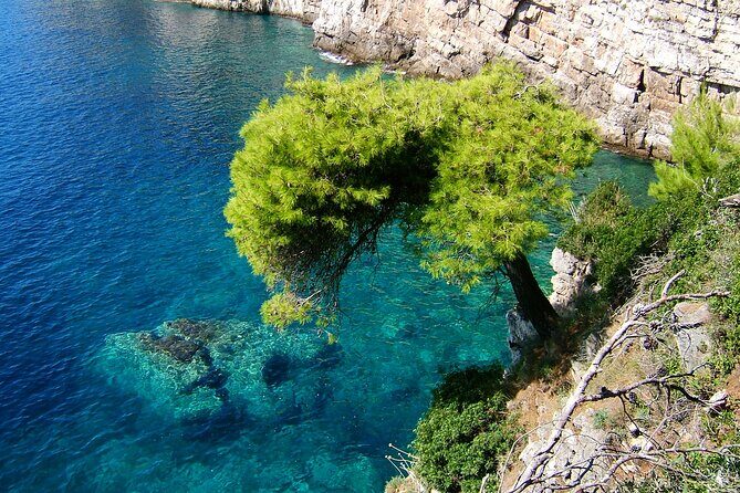 Dubrovnik:3 Islands Boat Tour with Lunch&drinks(FR,ES,EN) - Who Should Book This Tour?