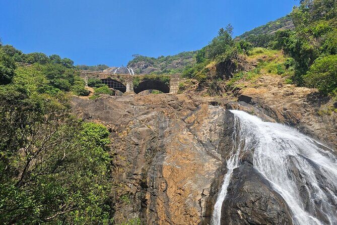 Dudhsagar Waterfalls, Jeep Safari & Spice Plantation private tour - Key Points