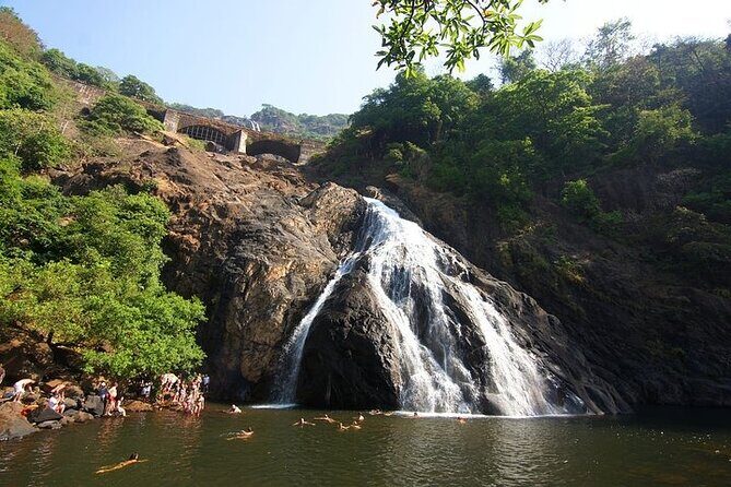 Dudhsagar Waterfalls, Jeep Safari & Spice Plantation private tour - Who Will Love This Tour?