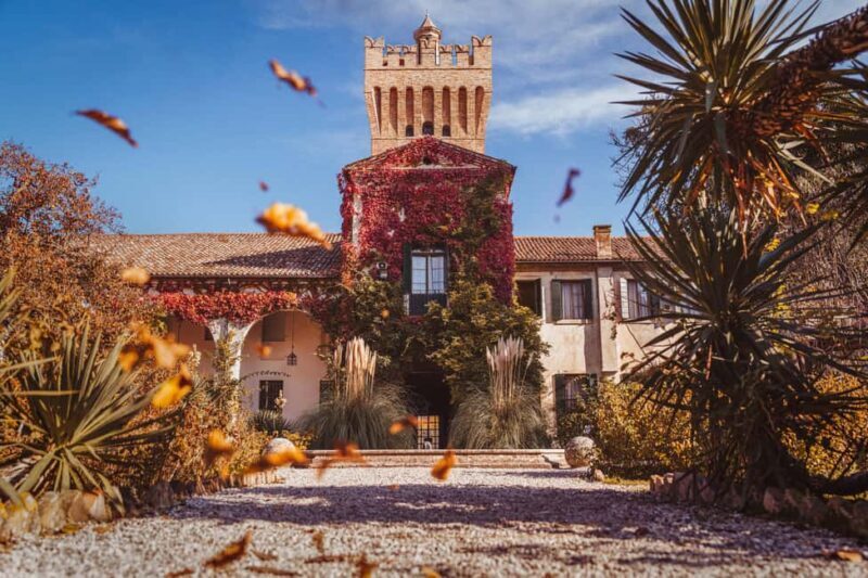 Due Carrare: San Pelagio Castle Entry Ticket - The Flight & Art Exhibition: An Artistic Perspective on Aviation