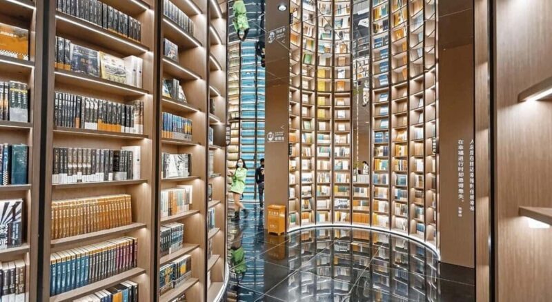 Dujiangyan Half Day Tour and Blue Tears Night View - Experience Overview