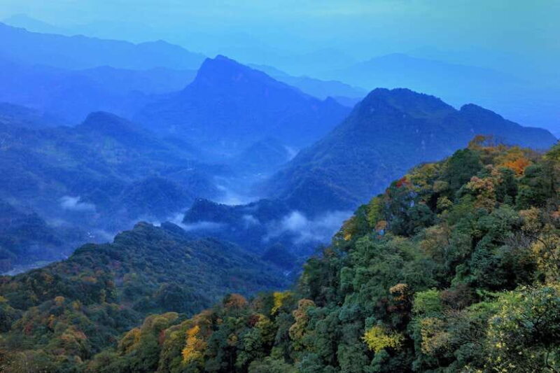 Dujiangyan: Irrigation System & Qingcheng Mountain Day Tour - Who Will Love This Tour?