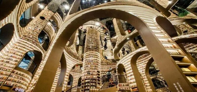 Dujiangyan panda base and irrigation system park day tour - The Sum Up: Why You Should Consider It