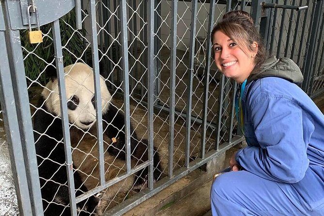 Dujiangyan Panda Volunteering Experience with Lunch - In-Depth Review: What to Expect from the Dujiangyan Panda Volunteer Tour
