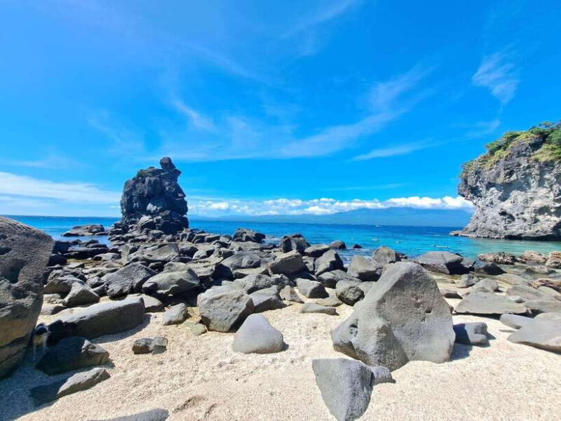 Dumaguete: Apo Island Snorkeling and Hiking Joiners Tour - Key Points