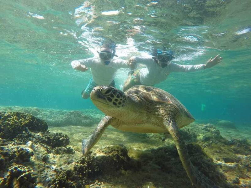 Dumaguete: Apo Island Snorkeling and Hiking Joiners Tour - FAQ