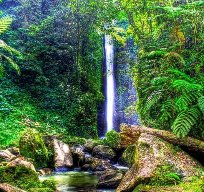 Dumaguete: Forest Camp and Casaroro Falls Day Trip - Key Points