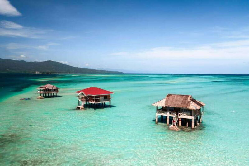 Dumaguete Manjuyod sand bar & Dolphin Watching - Exploring the Dumaguete Manjuyod Sandbar & Dolphin Watching Tour in Detail