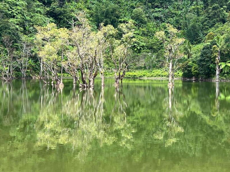 Dumaguete Tours in English - The Sum Up