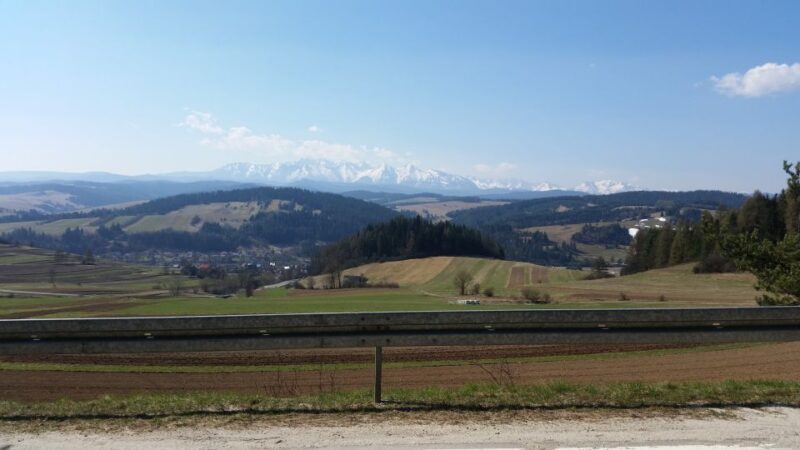 Dunajec River Gorge Rafting and Tree Top Walk from Krakow - Authentic Reviews: What Travelers Say