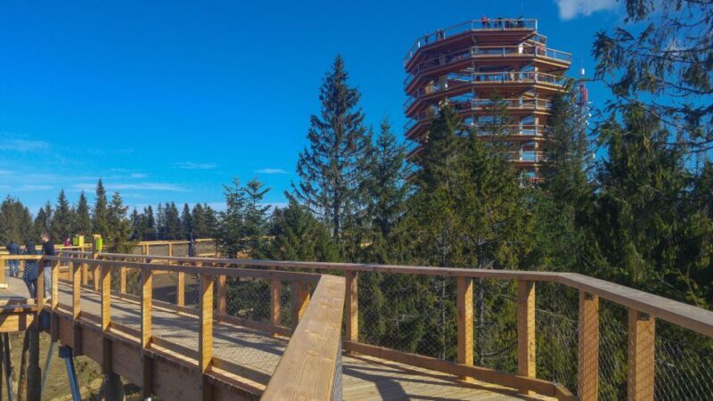 Dunajec River Gorge Rafting and Tree Top Walk from Krakow - Who Will Love This Tour?