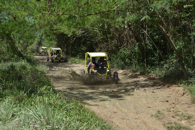 Dune Buggies Adventure - FAQ