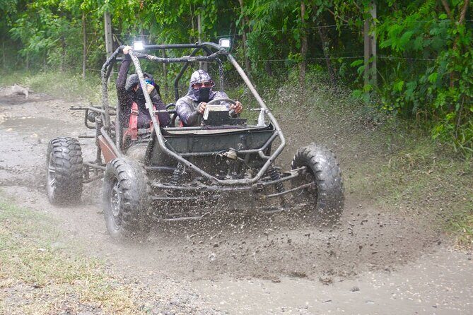Dune Buggy Adventure in Puerto Plata Mud, Rivers & Jungle Fun - Key Points