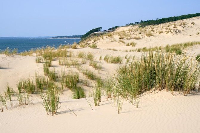 Dune du Pilat and Oysters Tasting in only 1 hour away from Bordeaux ! What else? - Who Will Love This Tour?