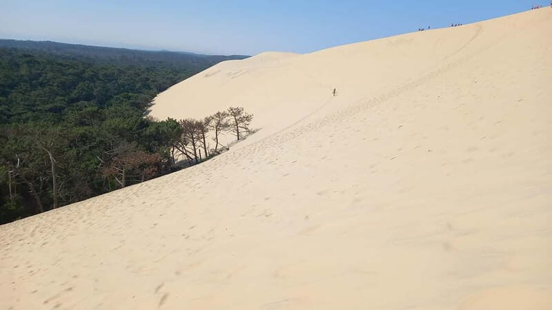 Dune du Pilat, Oysters Tasting and Arcachon! What else ? - The Dune du Pilat — Europes Tallest Sand Dune
