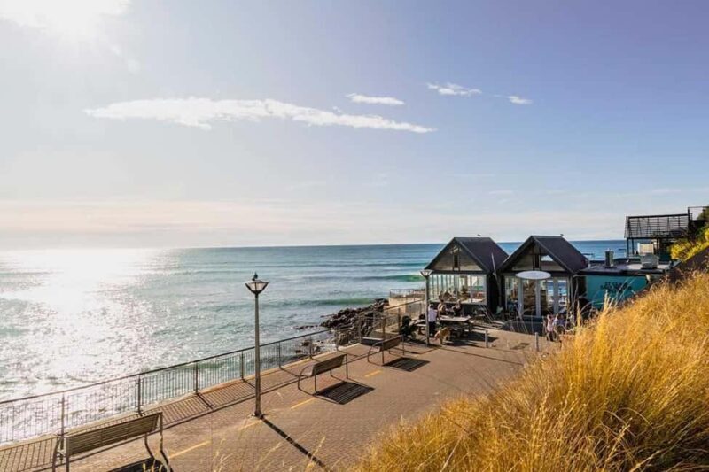 Dunedin: 3 Hour Artisan Food Walking Tour - Who Is This Tour Best For?