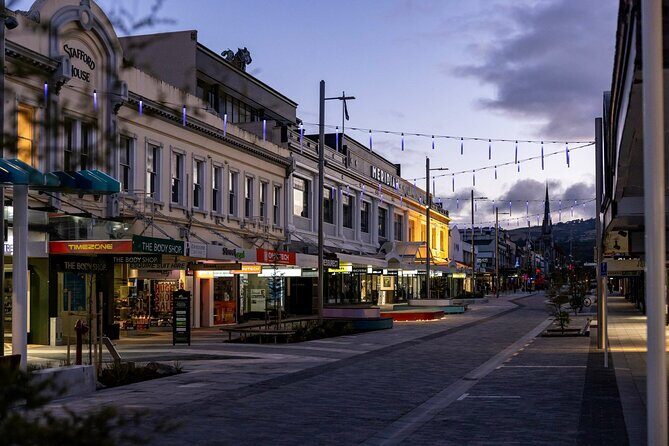 Dunedin 4 Hrs halfday Private Tour - A Detailed Look at the Dunedin 4-Hour Private Tour